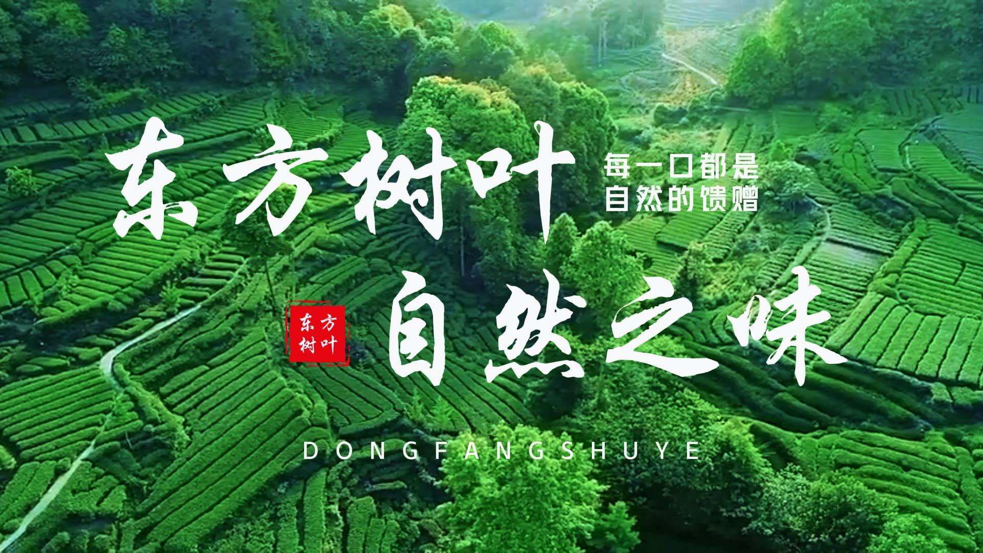 摄影作品